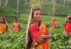international-day-of-rural-women-wp-feat