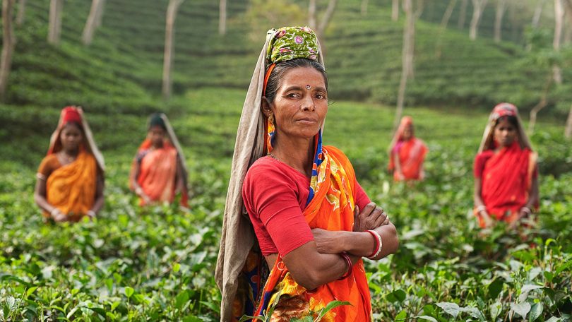 international-day-of-rural-women-wp-feat
